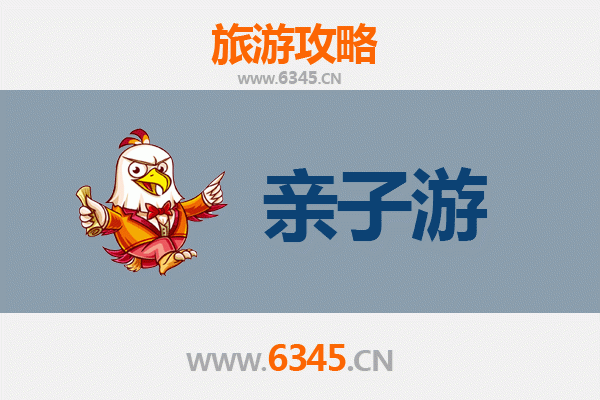 乐东山荣农场亲子游全攻略：自然探索与黎族文化体验之旅